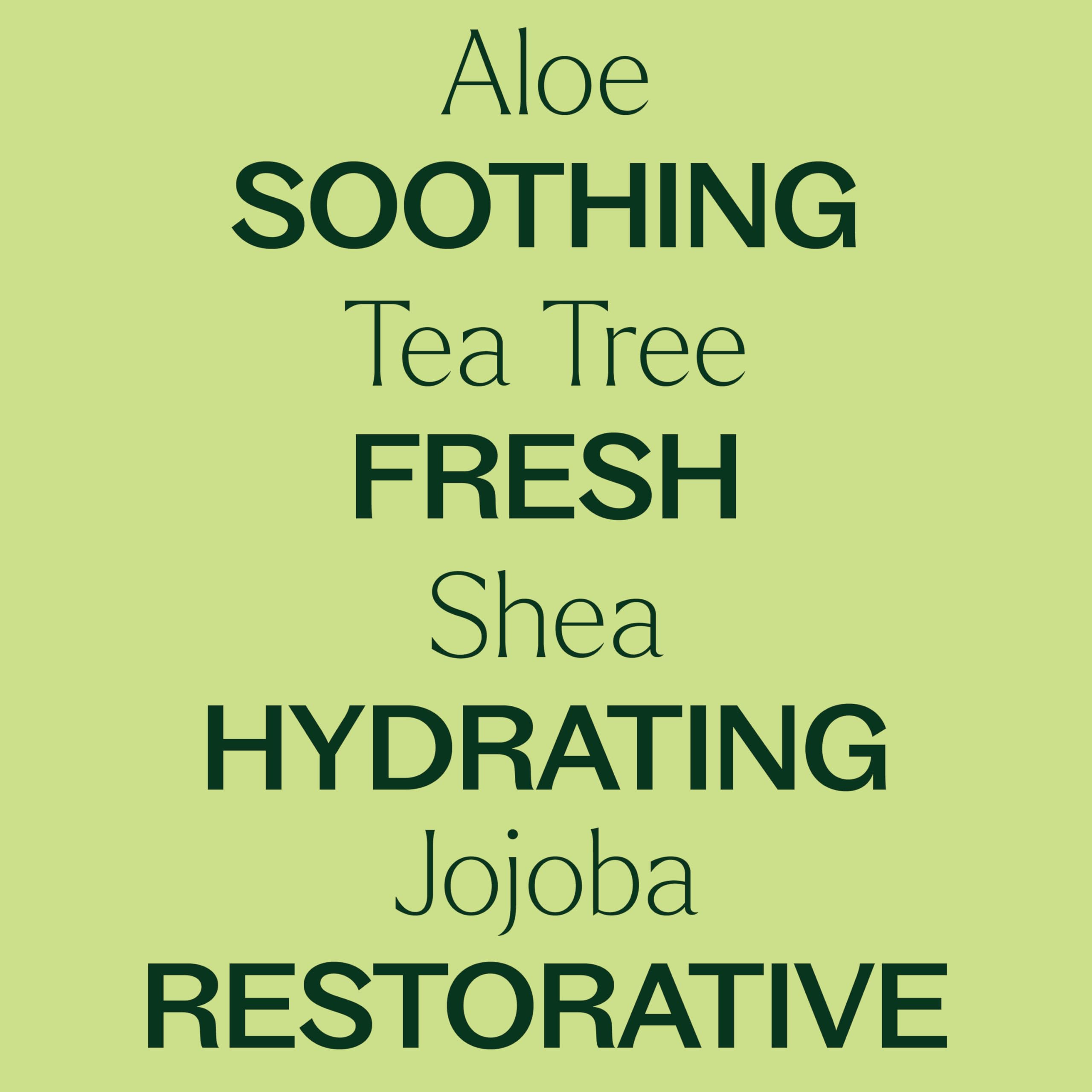 Plant Therapy Tea Tree Body Lotion shea butter component for lasting moisture.