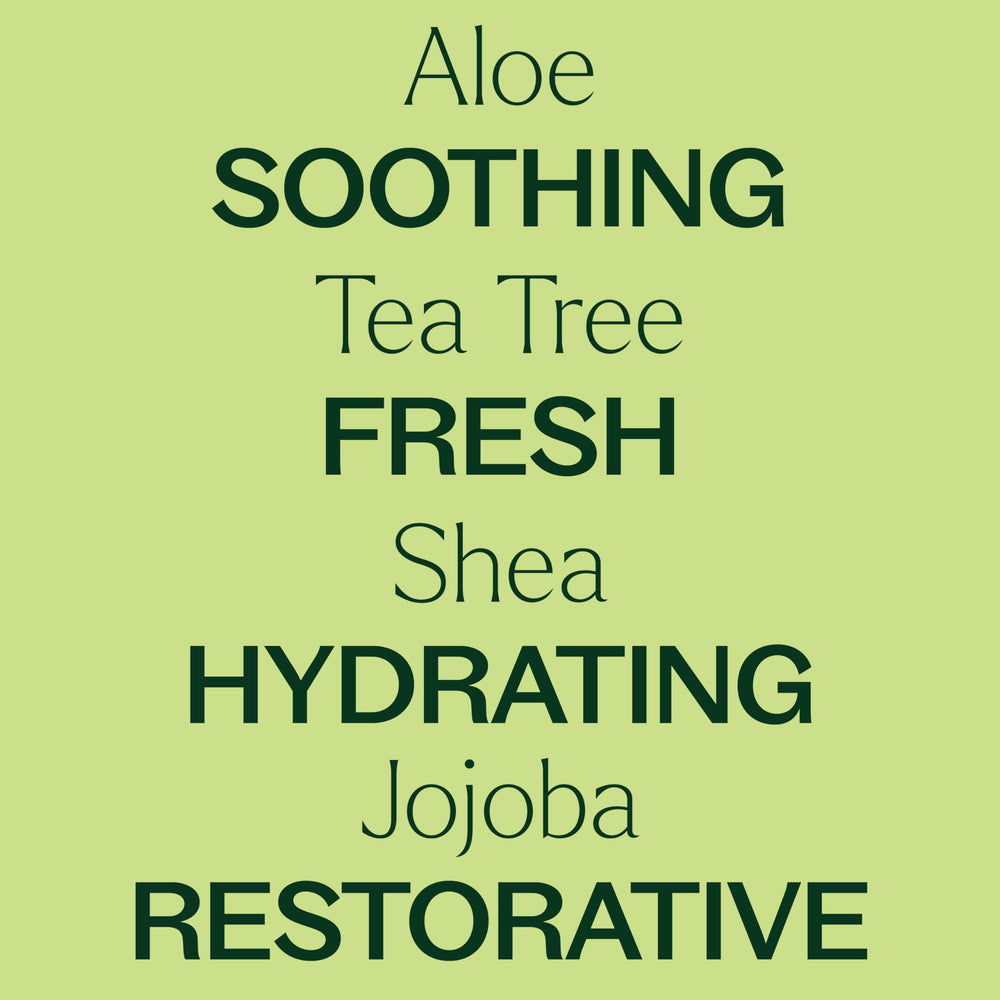 Plant Therapy Tea Tree Body Lotion shea butter component for lasting moisture.