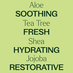 Plant Therapy Tea Tree Body Lotion shea butter component for lasting moisture.