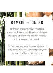 Plantanicals conditioner jar with bamboo-ginger scent hints for a spa-like grooming routine.
