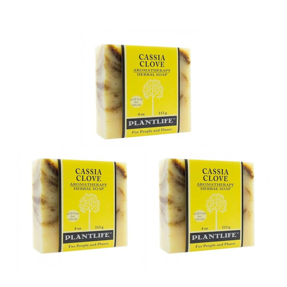 Plantlife Cassia Clove 3-Pack Bar Soap with warm cinnamon-clove swirl for comforting cleansing.