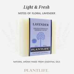 Plantlife cold processing soap detail preserves essential oils