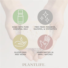 Plantlife Double Mint bar soap wrapped in packaging, six-pack for travel or gifting.