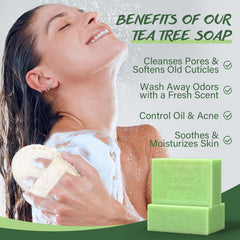 POP MODERN.C Tea Tree Oil Soap Bar closeup emphasizes cleansing lather and botanical blends.