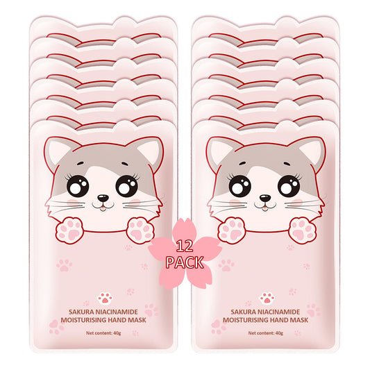 PPPanYiDi hand masks packaging shows a gift-ready set for pampering dry hands
