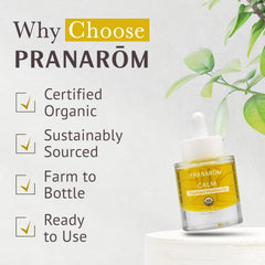 Pranarom Calm Treatment Moisture Oil droplets on hand, ready for application.