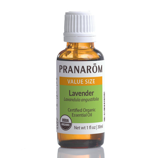 Pranarom Lavender Oil bottle close-up for calming aromatherapy in your diffuser.
