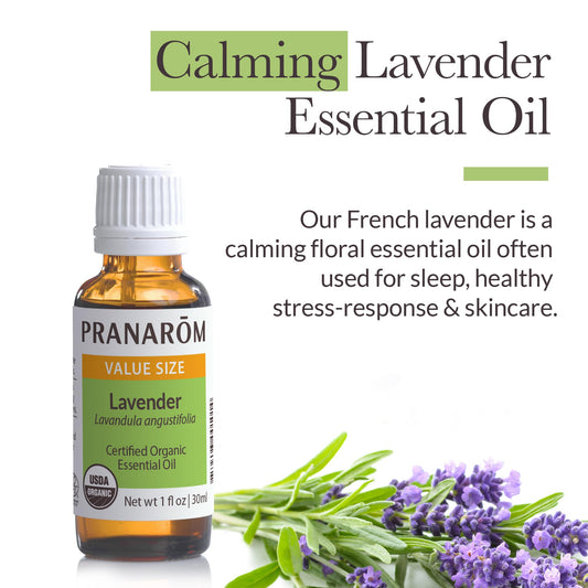 Pranarom Lavender Oil in a diffuser setup to create a tranquil room ambiance.