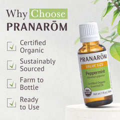 Pranarom peppermint oil aroma scene for diffuser enjoyment.