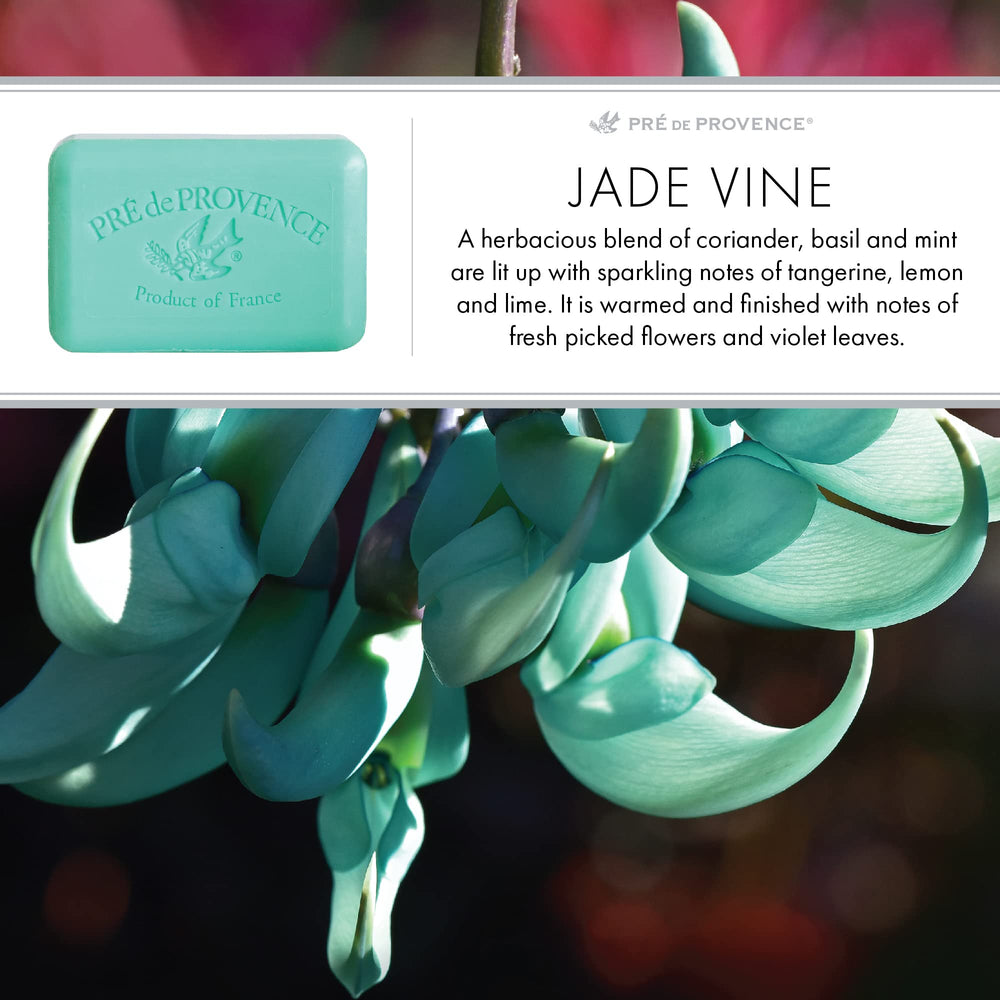 Elegant gift-ready presentation of Pre de Provence soap for special occasions