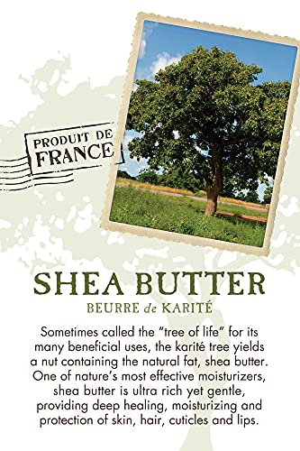 Pre de Provence Shea Butter Soap Bar in hand for moisturizing skin