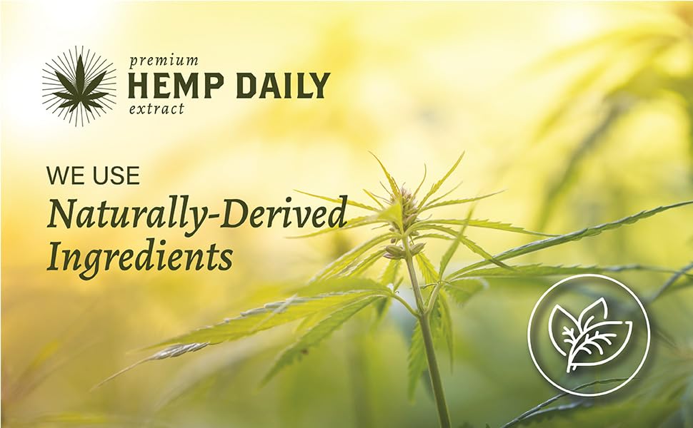 Packaging box of Premium Hemp Extract Daily Intensive Cream with lavender label