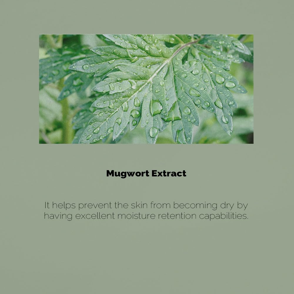 PRETTYSKIN Mugwort Daily Toner face application demonstrates quick skin-refresh and light moisture.