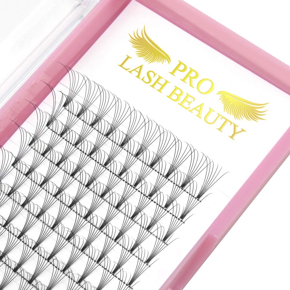 PRO LASHBEAUTY Premade Fans 6D-C-0.10-18mm with natural-looking volume for daily wear