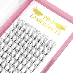 PRO LASHBEAUTY Premade Fans 6D-C-0.10-18mm with natural-looking volume for daily wear