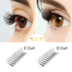 PRO LASHBEAUTY Premade Fans 9-15 mm tray enables versatile length options