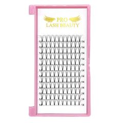 PRO LASHBEAUTY Premade Fans premium packaging and storage