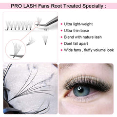 PRO LASHBEAUTY Premade Fans Root Tight bonding demonstrates precise adhesion
