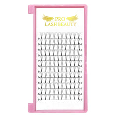 PRO LASHBEAUTY premade fans vegan soft lashes light on the eye.
