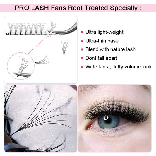 PRO LASHBEAUTY premade fans volume 7D with D curl for dramatic yet lightweight lashes.