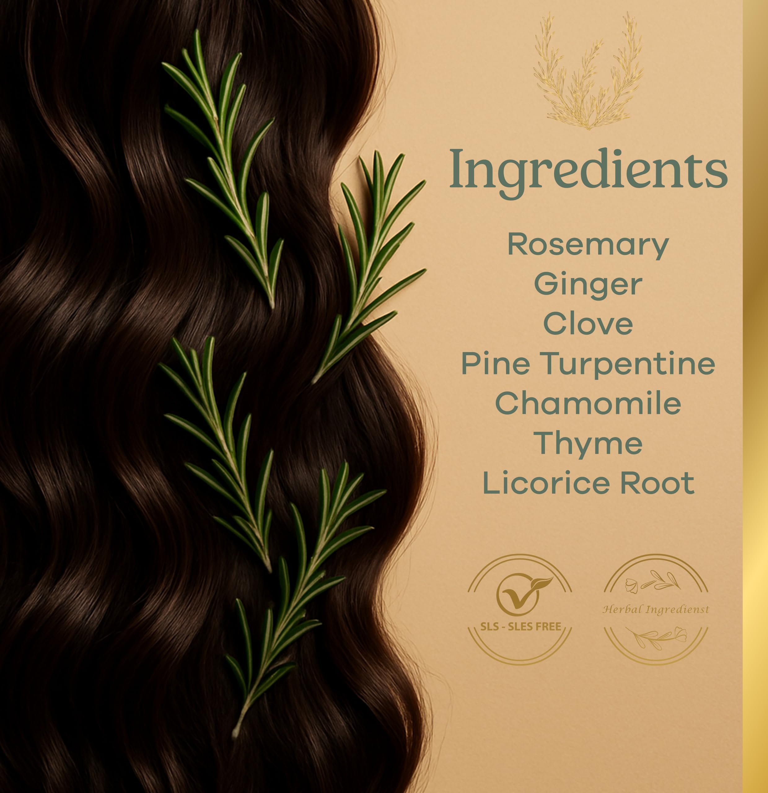 Aloe and plant extracts shown on label support softer, more manageable hair.