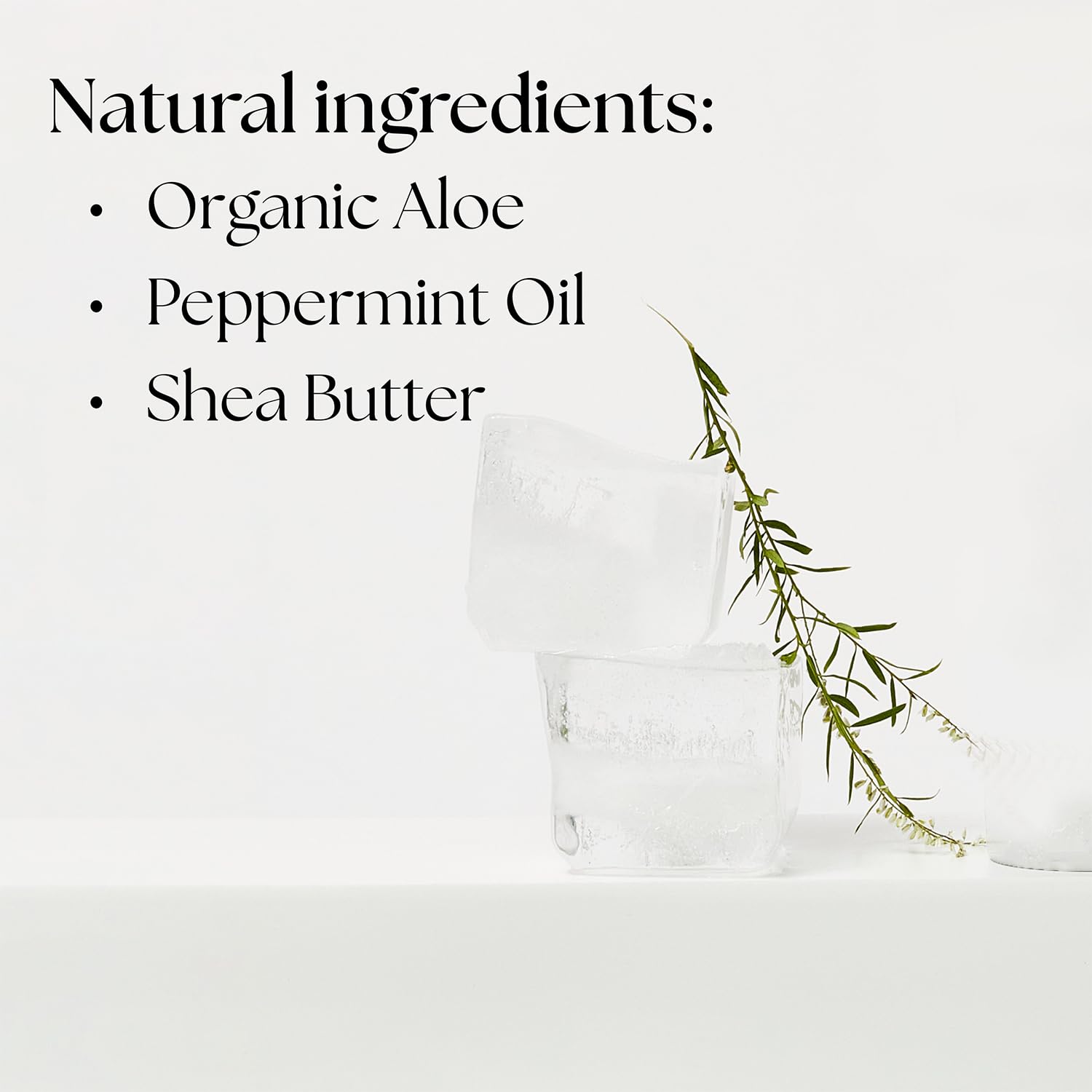 Aloe vera plant closeup signaling soothing, plant-powered hydration