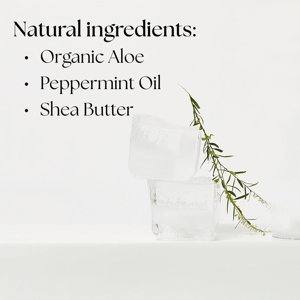 Aloe vera plant closeup signaling soothing, plant-powered hydration