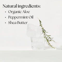 Aloe vera plant closeup signaling soothing, plant-powered hydration