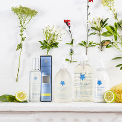 Provence Sante Linden EDT lifestyle spray for a fresh mood boost