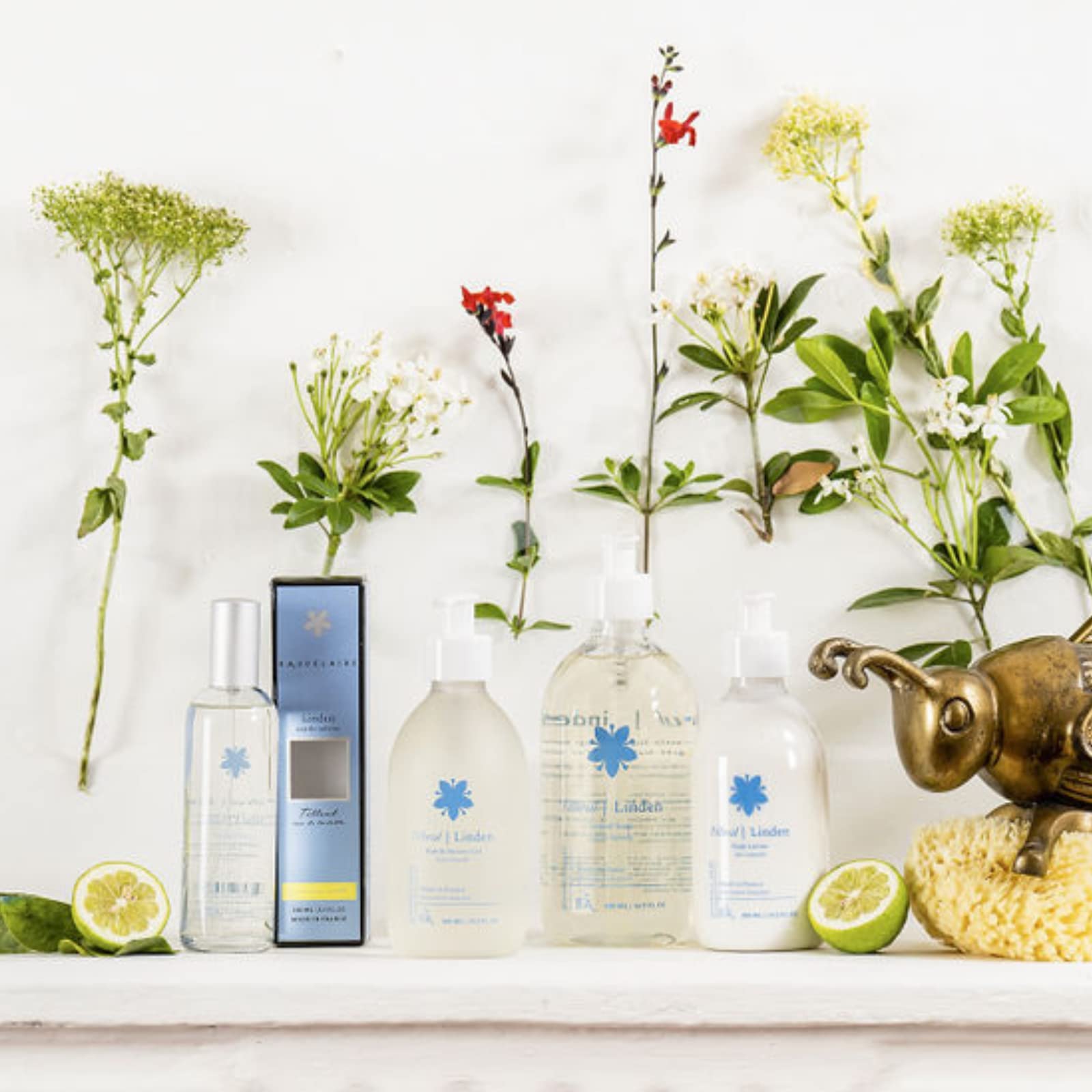 Provence Sante EDT packaging front, ideal for gifting occasions