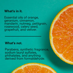 Public Goods sulfate-free formula image highlights clean and skin-friendly cleansing.