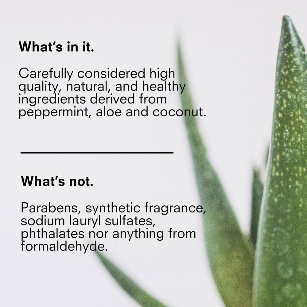 Public Goods foaming cleanser in use with rich lather for dirt and makeup removal