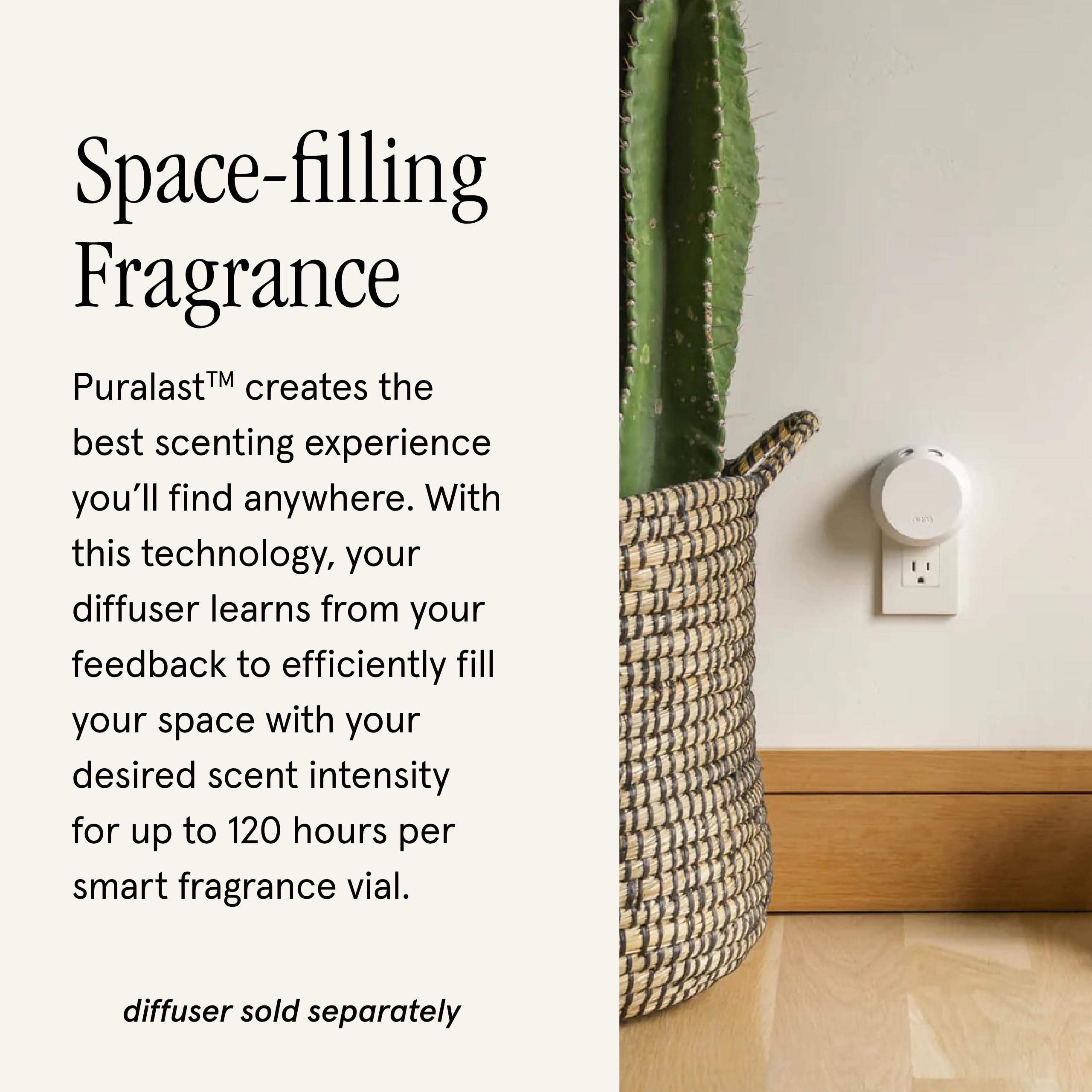 Pura diffuser with Vanilla Fleur refill delivers steady scent throughout the day.