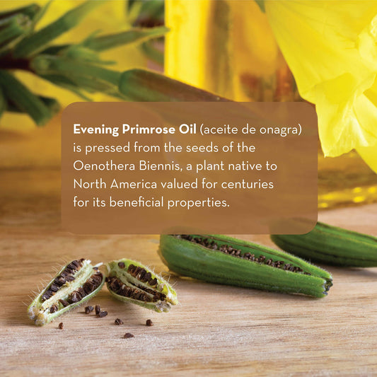 Pure Body Naturals Evening Primrose Oil applied to skin for hydration