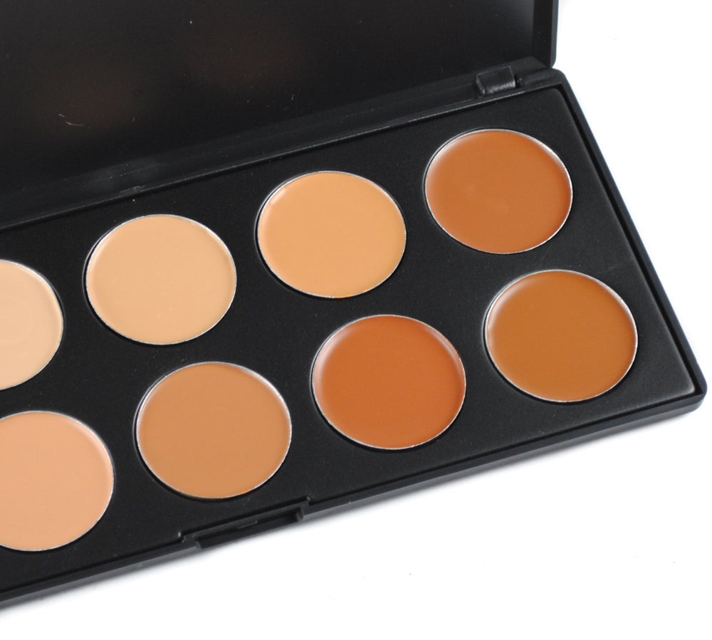Pure Vie concealer palette swatches demonstrating diverse tones for precise color correction
