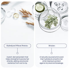 Pureance Hydralift lather-foam illustrating gentle cleansing and added body.