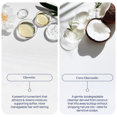 Pureance Hydralift roots-volume image suggesting lifted roots and thicker appearance.