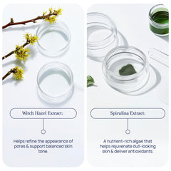 Kakadu Plum and Spirulina ingredients with Pureance branding