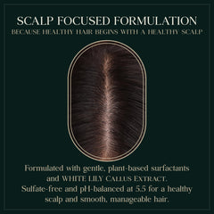 PUREBBLE White Lily Callus Extract focus showing antioxidant-rich ingredient