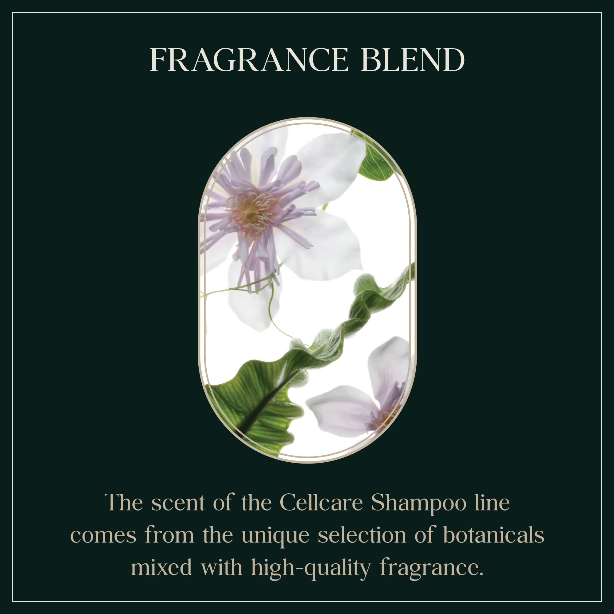 PUREBBLE Cooling Relief Shampoo during lather application demonstrates gentle cleansing for all hair types.