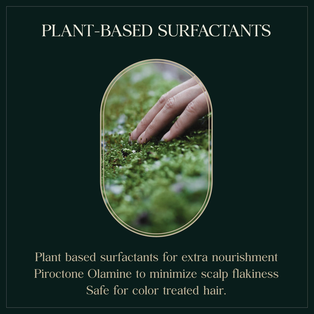 Purebble herbal ingredients montage underscores antioxidant blend nourishing hair.