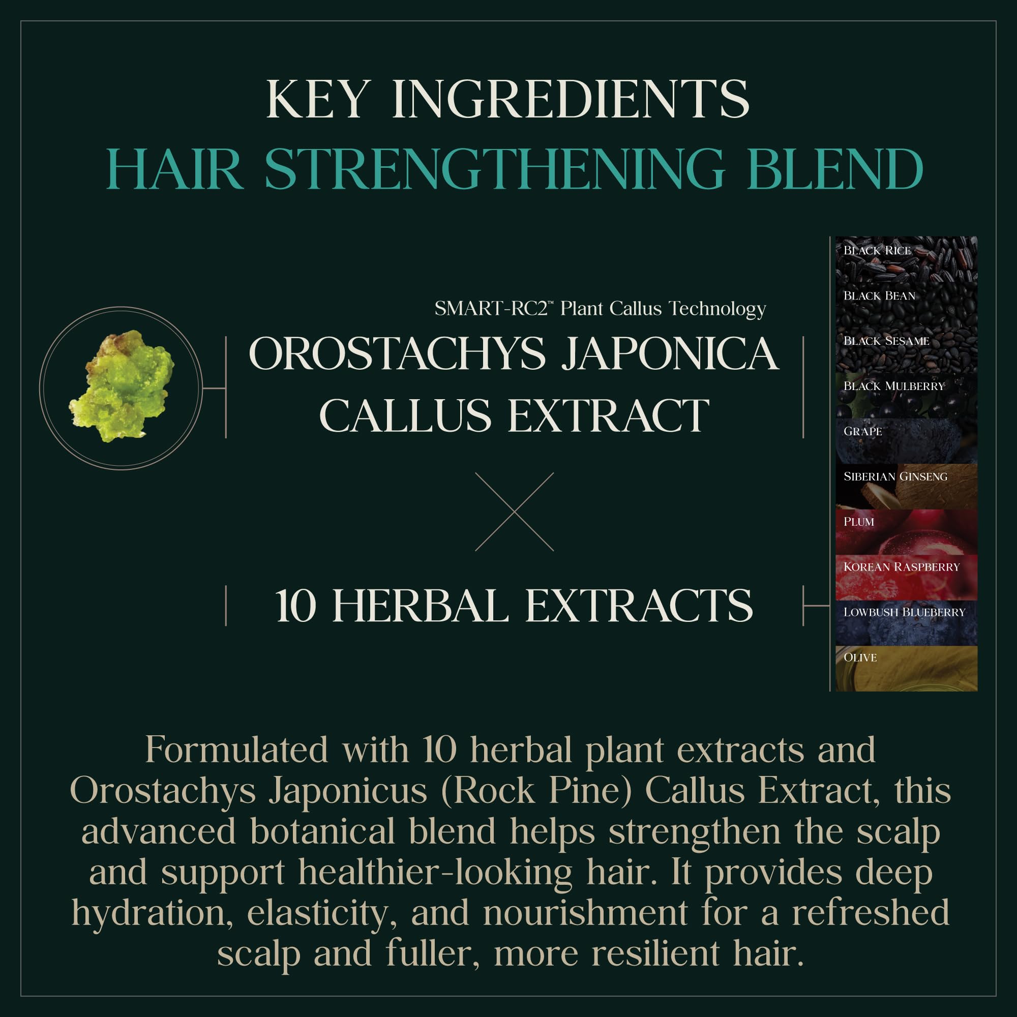 Purebble label detail highlights sulfate-free, color-safe formula for safe color maintenance.