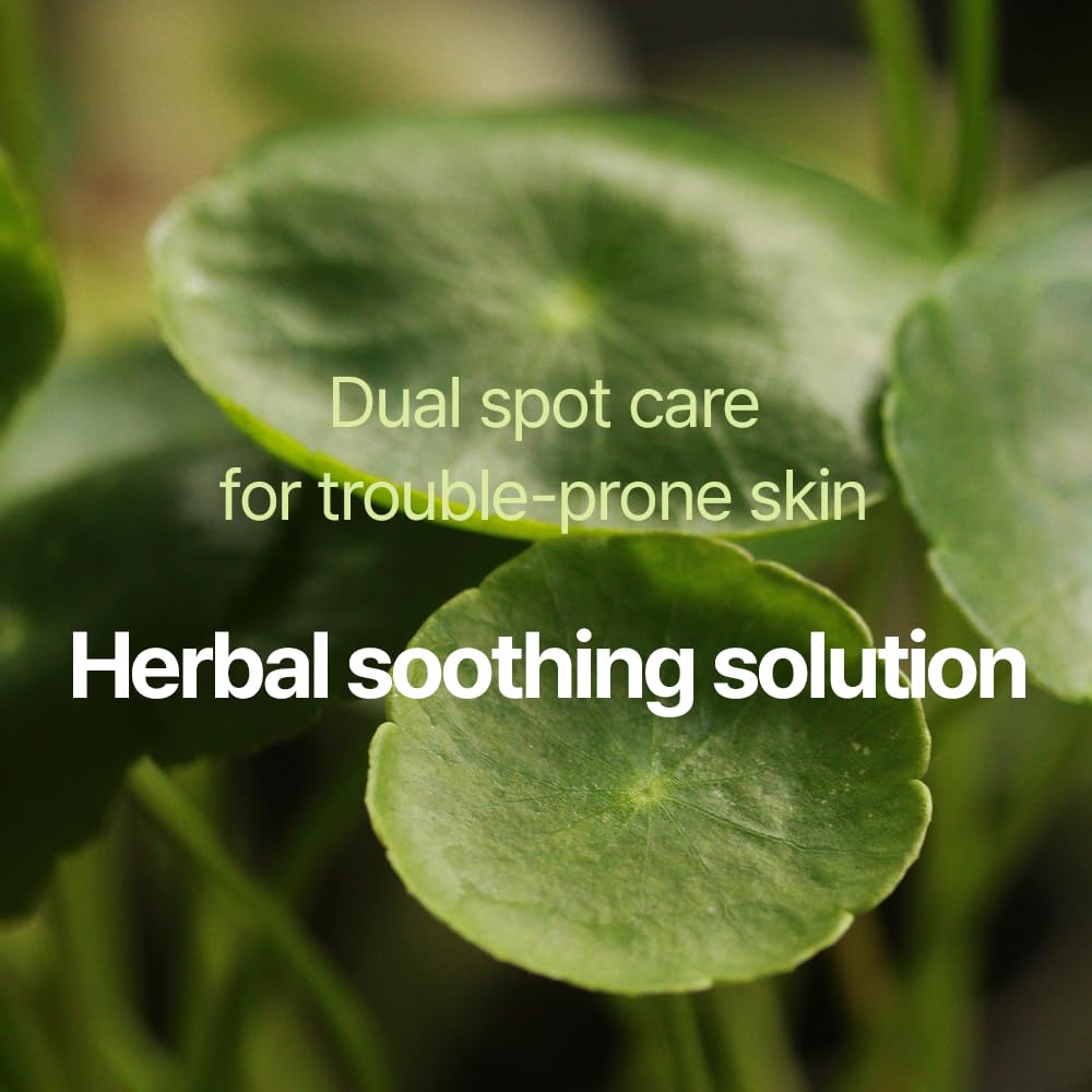 Pyunkang Yul PKY patch with Centella Asiatica, Tea Tree and Houttuynia for calming spot care