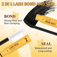 QUEWEL 3D DCurl lash clusters blending into natural lashes for volume