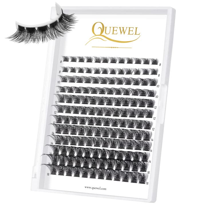 QUEWEL cluster lashes 12 rows per tray for easy access.