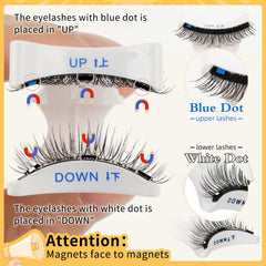 QUEWEL magnetic applicator showing precise lash placement.