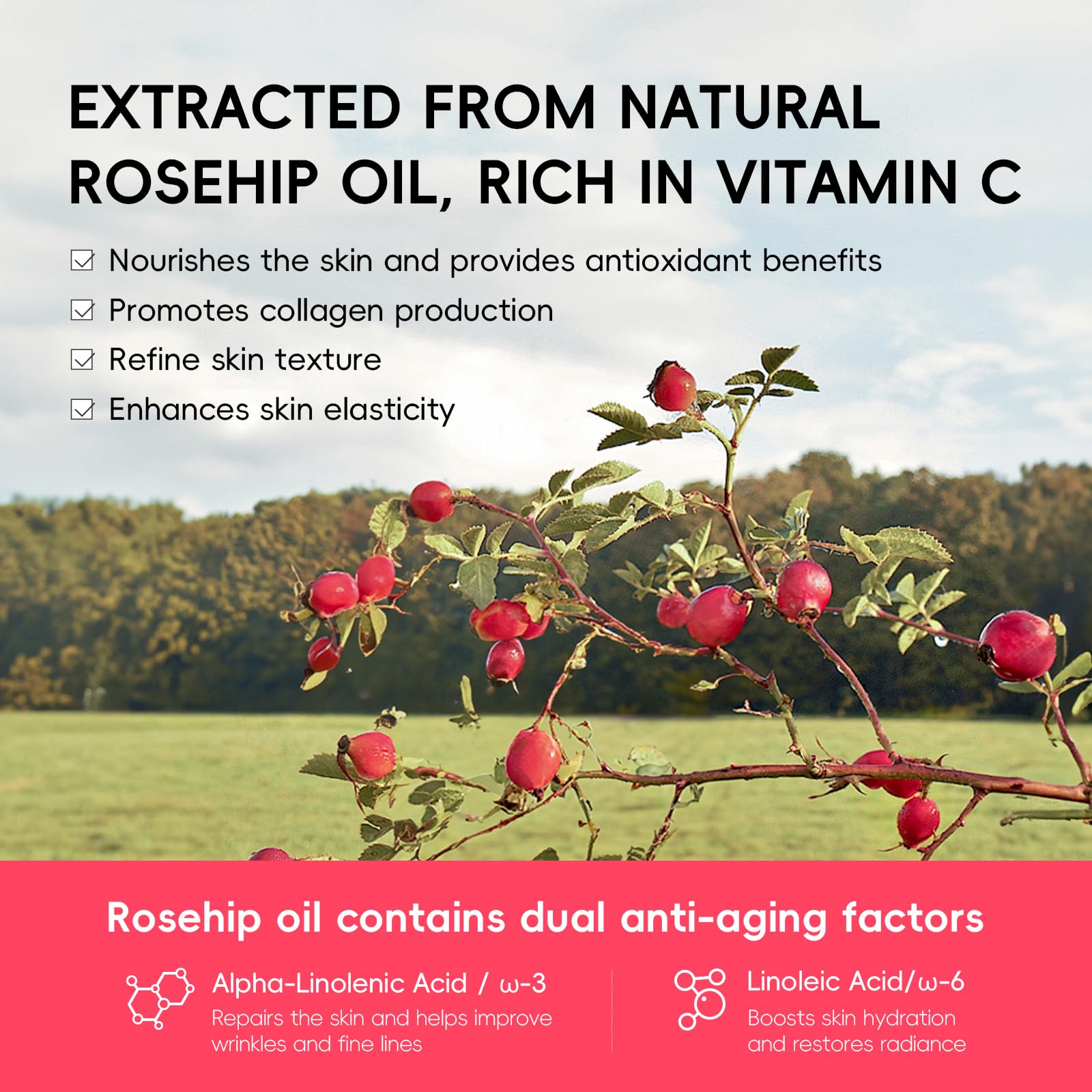 QUIYUM Rosehip Cream Dispense demonstrates easy, precise daily application.