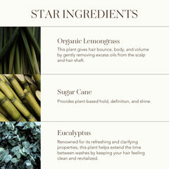 Rahua Voluminous Spray absorbs excess oil for a cleaner scalp.