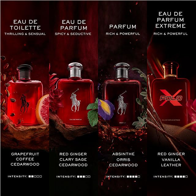 Display with full bottle and box conveys luxury fragrance experience.