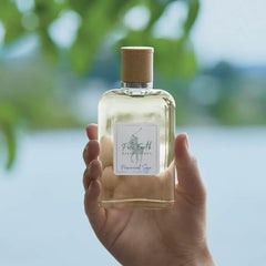Ralph Lauren Polo Earth Provencial Sage sage and lavender notes closeup